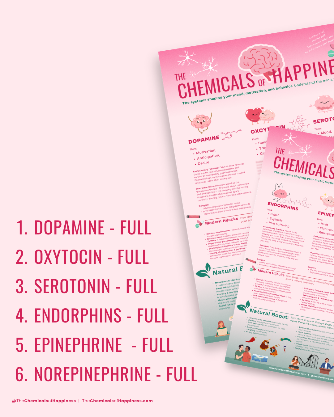 Cheat Sheet - Six Chemicals of Happiness