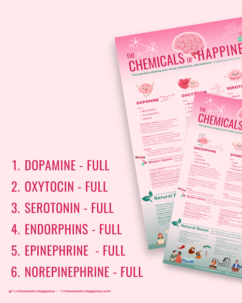 Cheat Sheet - Six Chemicals of Happiness