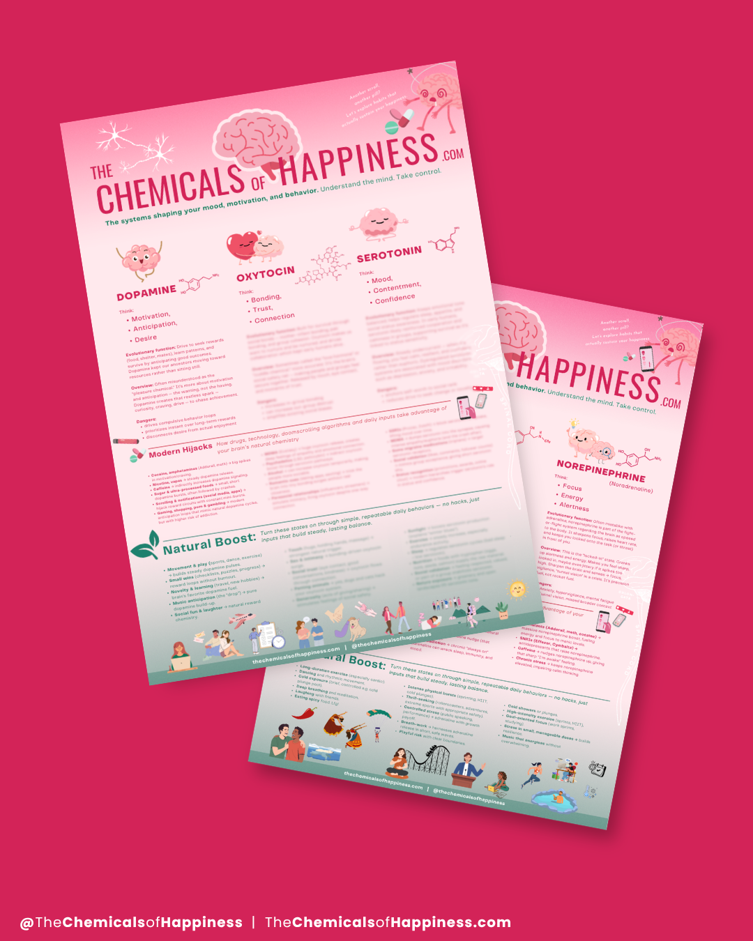 Cheat Sheet - Six Chemicals of Happiness