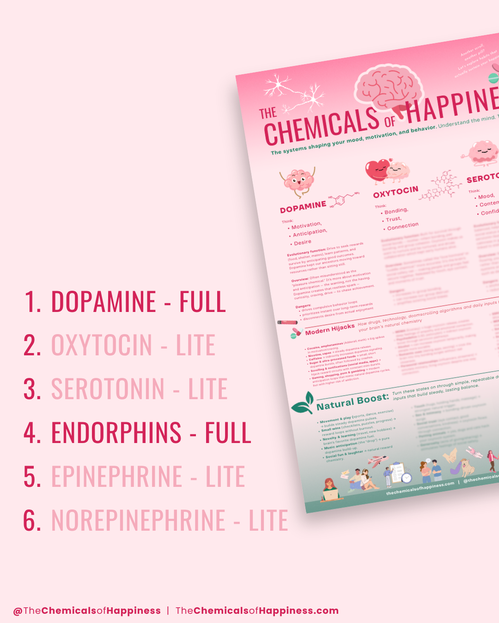 FREE VERSION - Chemicals of Happiness | Cheat Sheet