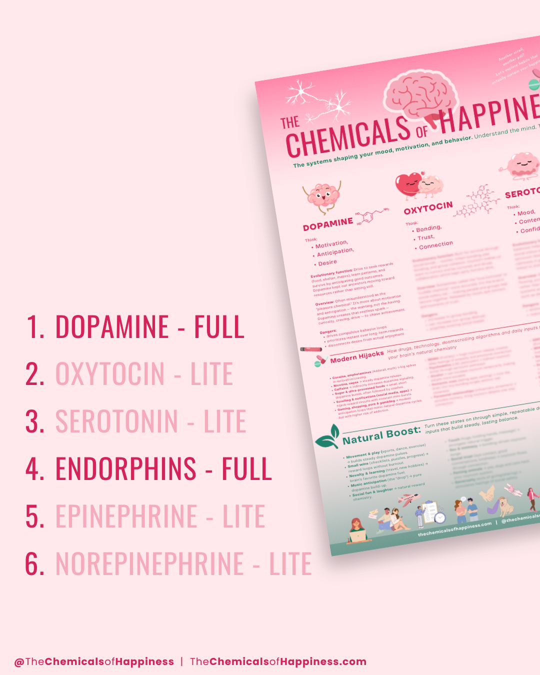 FREE VERSION - Chemicals of Happiness | Cheat Sheet