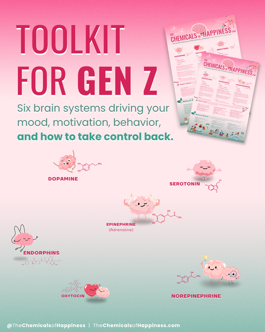 Gen Z Toolkit