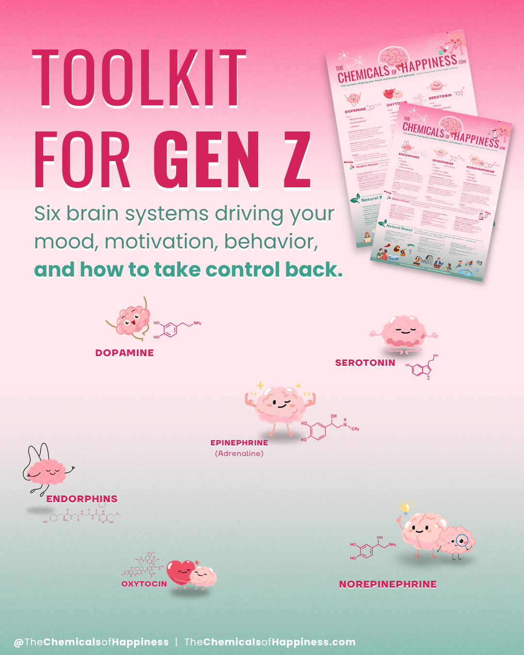 Gen Z Toolkit
