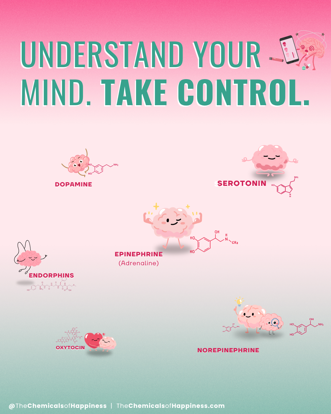 Cheat Sheet - Six Chemicals of Happiness